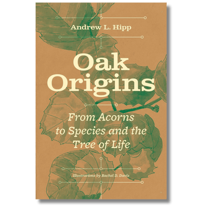 Oak Origins: From Acorns to Species and the Tree of Life