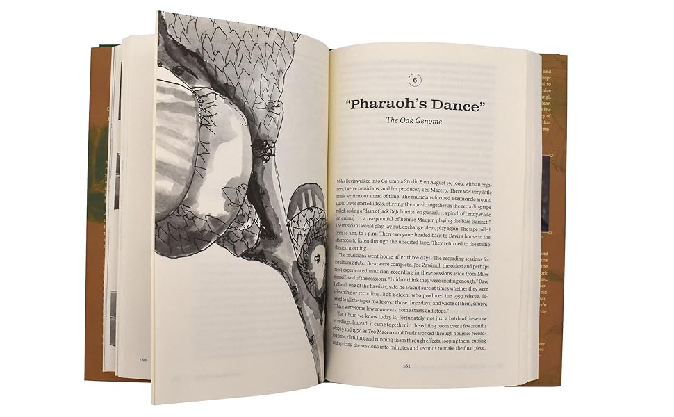 Oak Origins: From Acorns to Species and the Tree of Life