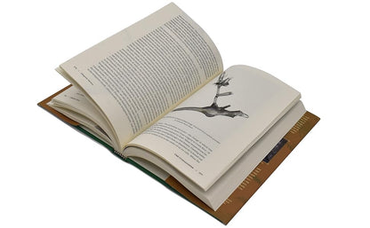 Oak Origins: From Acorns to Species and the Tree of Life