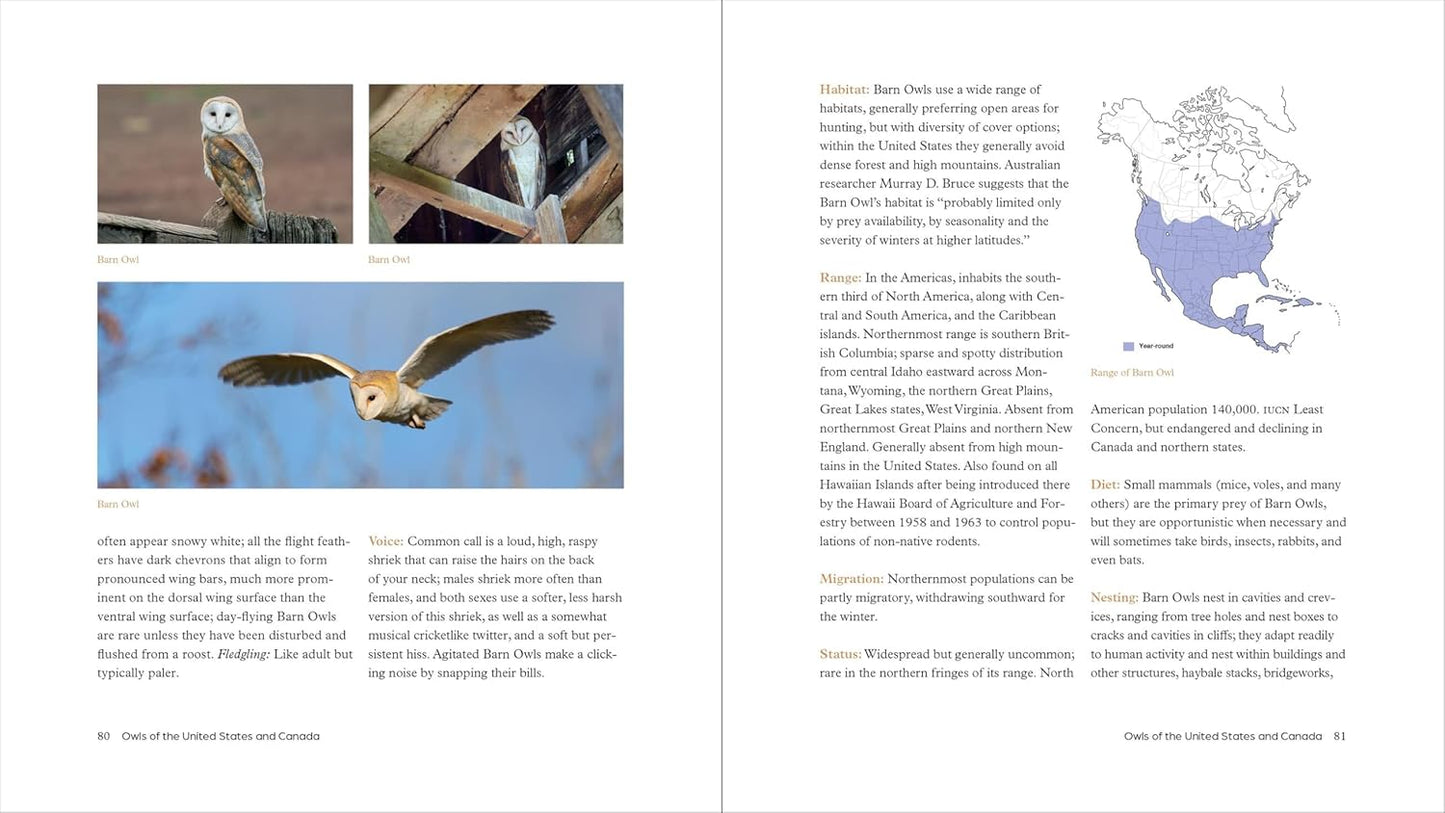 The Owl Handbook: Investigating the Lives, Habits, and Importance of These Enigmatic Birds