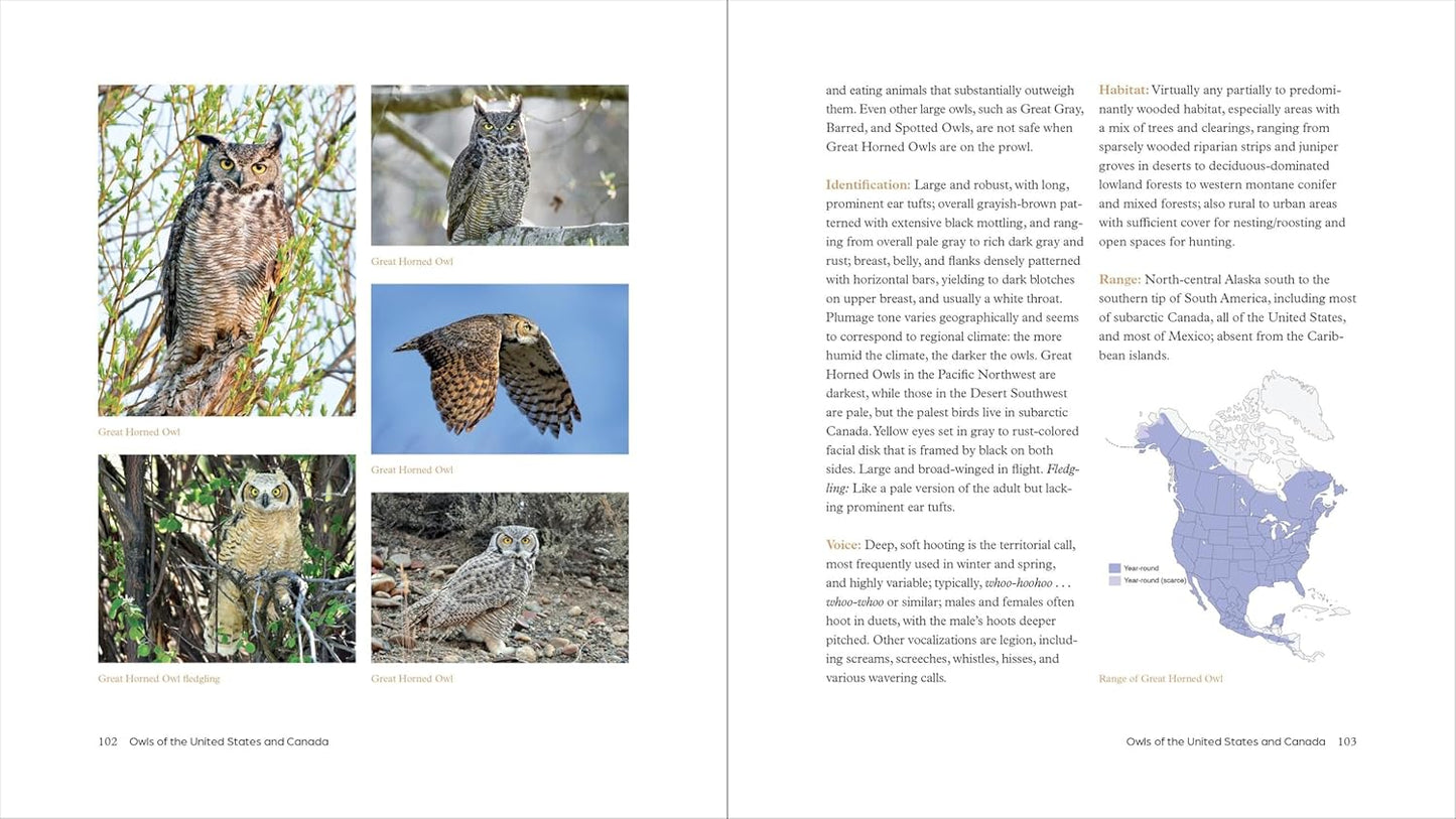 The Owl Handbook: Investigating the Lives, Habits, and Importance of These Enigmatic Birds