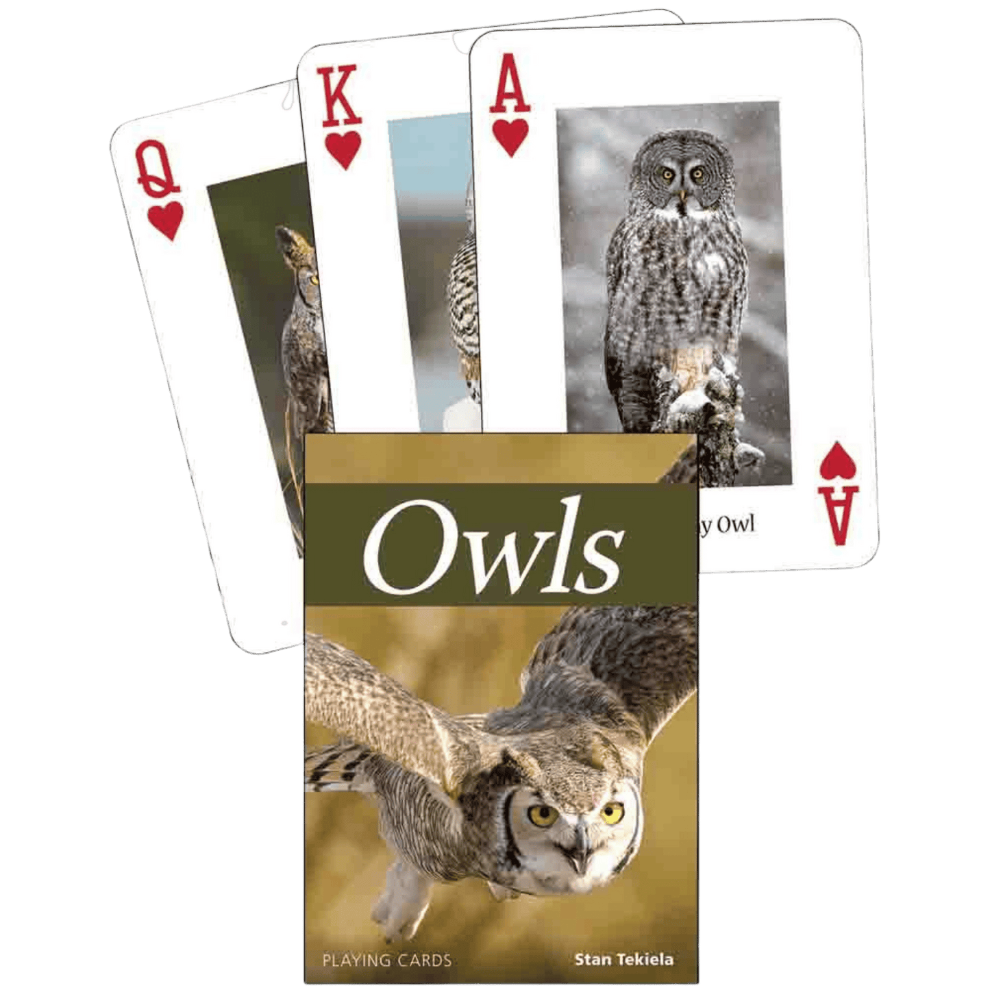Owls Playing Cards