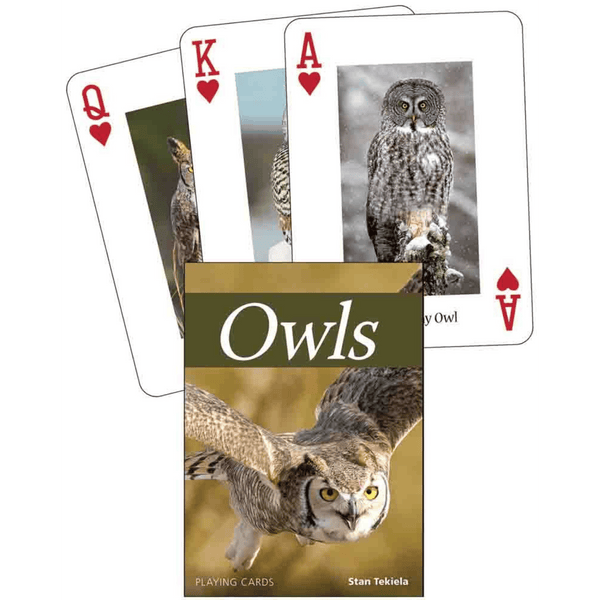 Owls Playing Cards