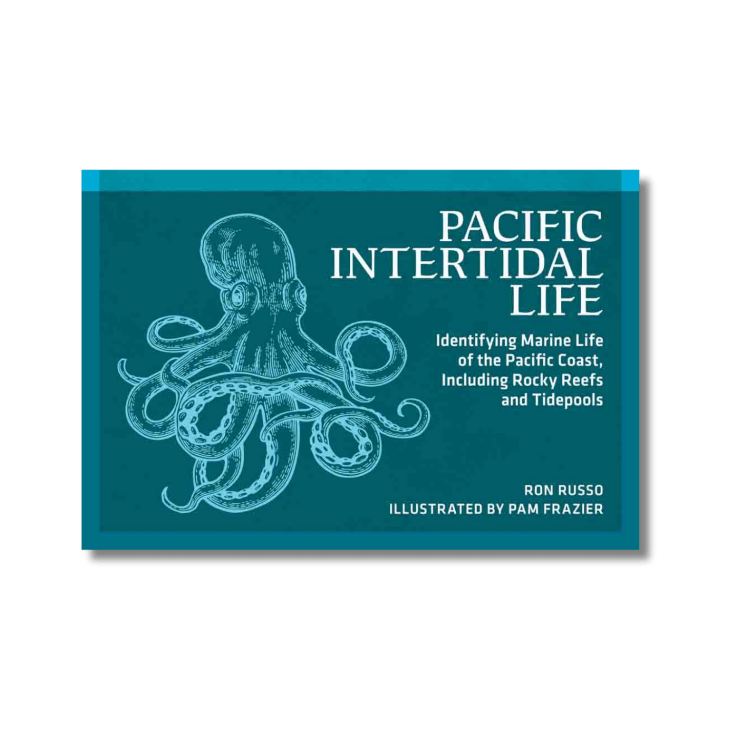 Pacific Intertidal Life