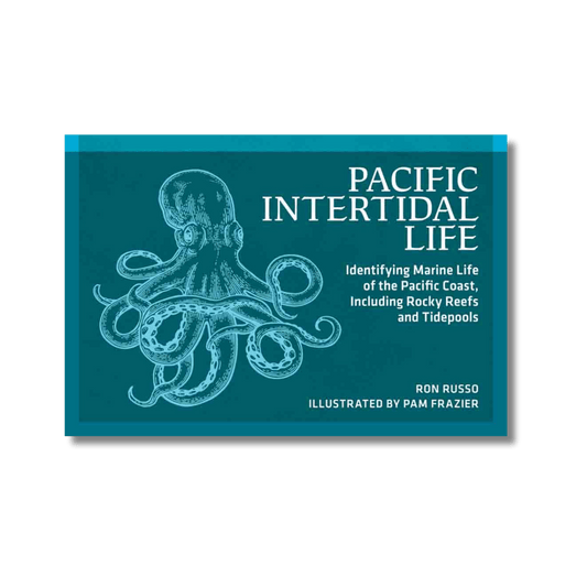 Pacific Intertidal Life