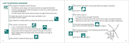 Pacific Intertidal Life