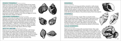 Pacific Intertidal Life