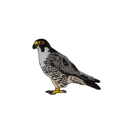 Peregrine Falcon Patch