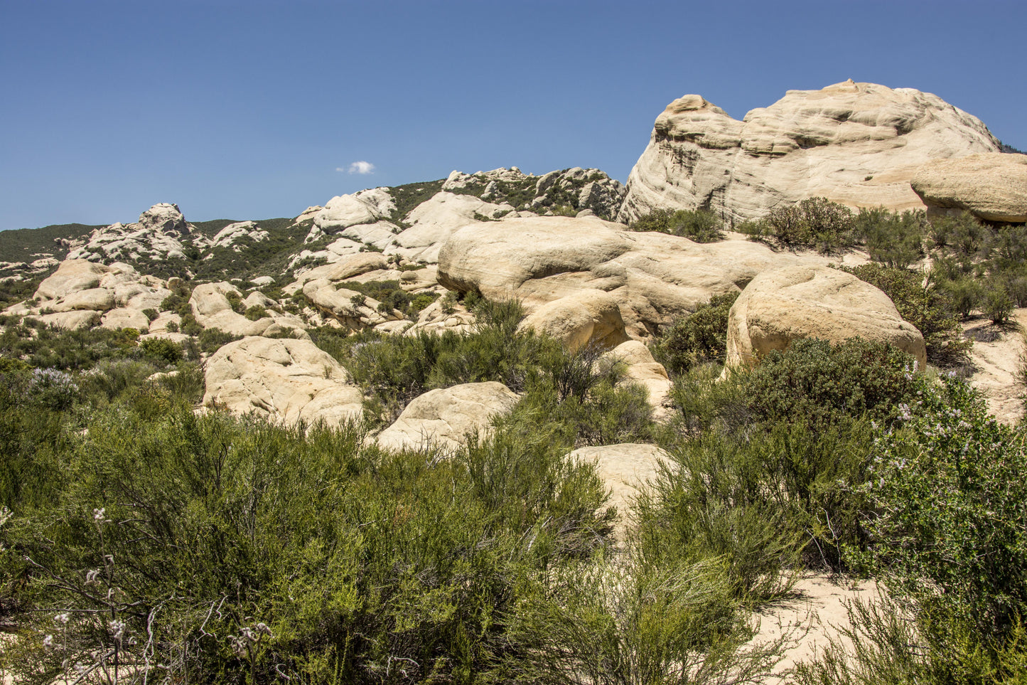 Highway 33 Sespe Sticker