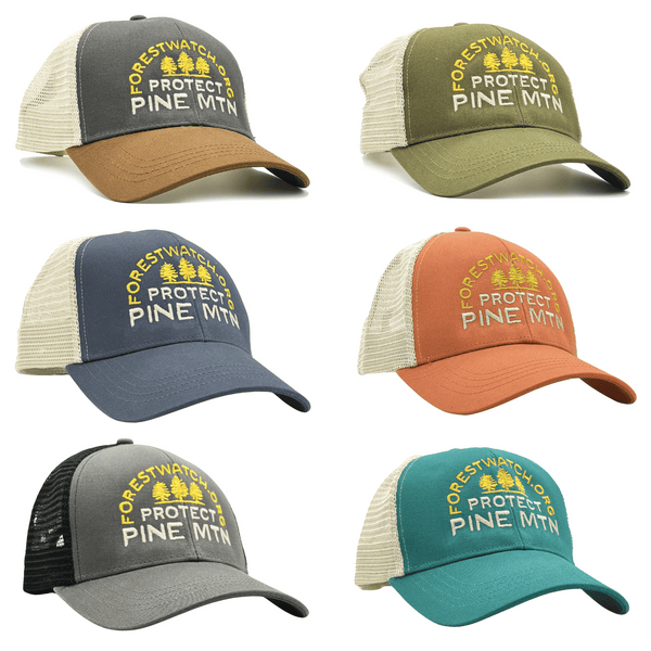 Protect Pine Mountain Trucker Hat