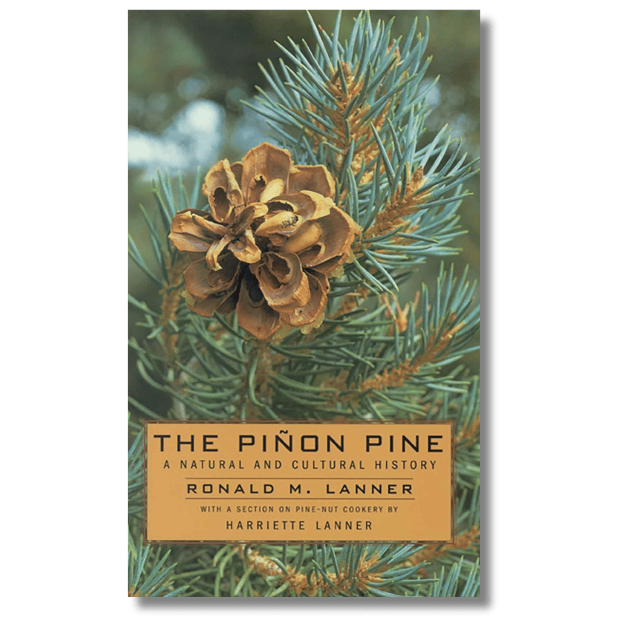 The Piñon Pine: A Natural and Cultural History – The ForestWatch Store