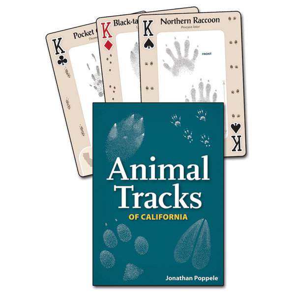 Playing Cards: Animal Tracks of California