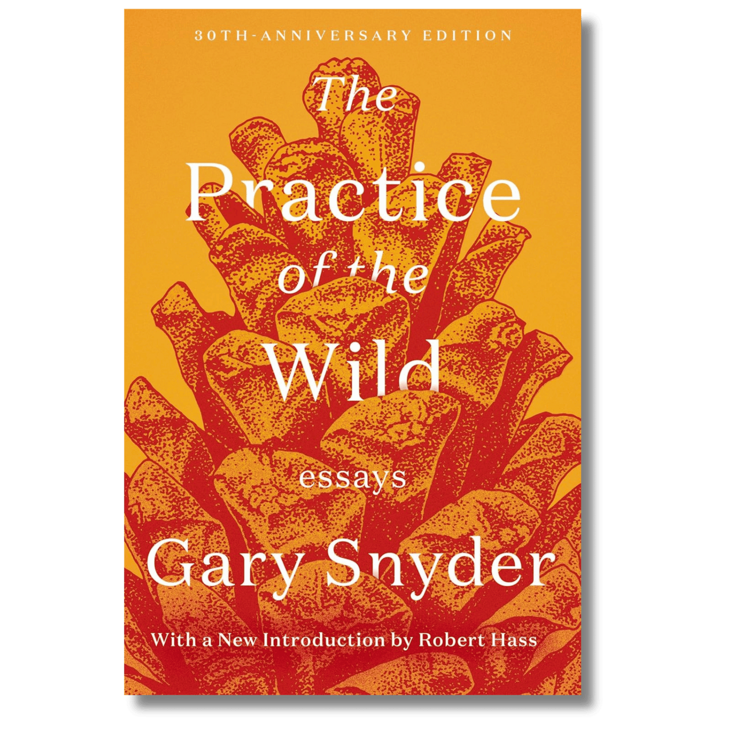The Practice of the Wild: Essays