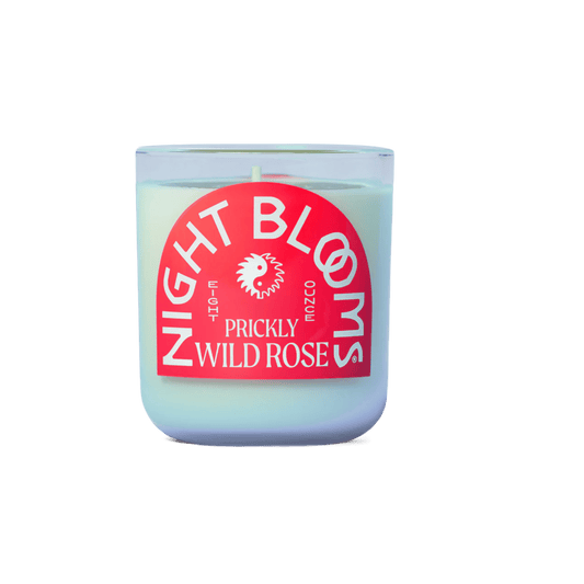 Prickly Wild Rose Candle