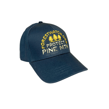 Protect Pine Mountain Hat