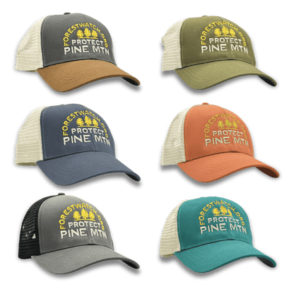 Protect Pine Mountain Trucker Hat