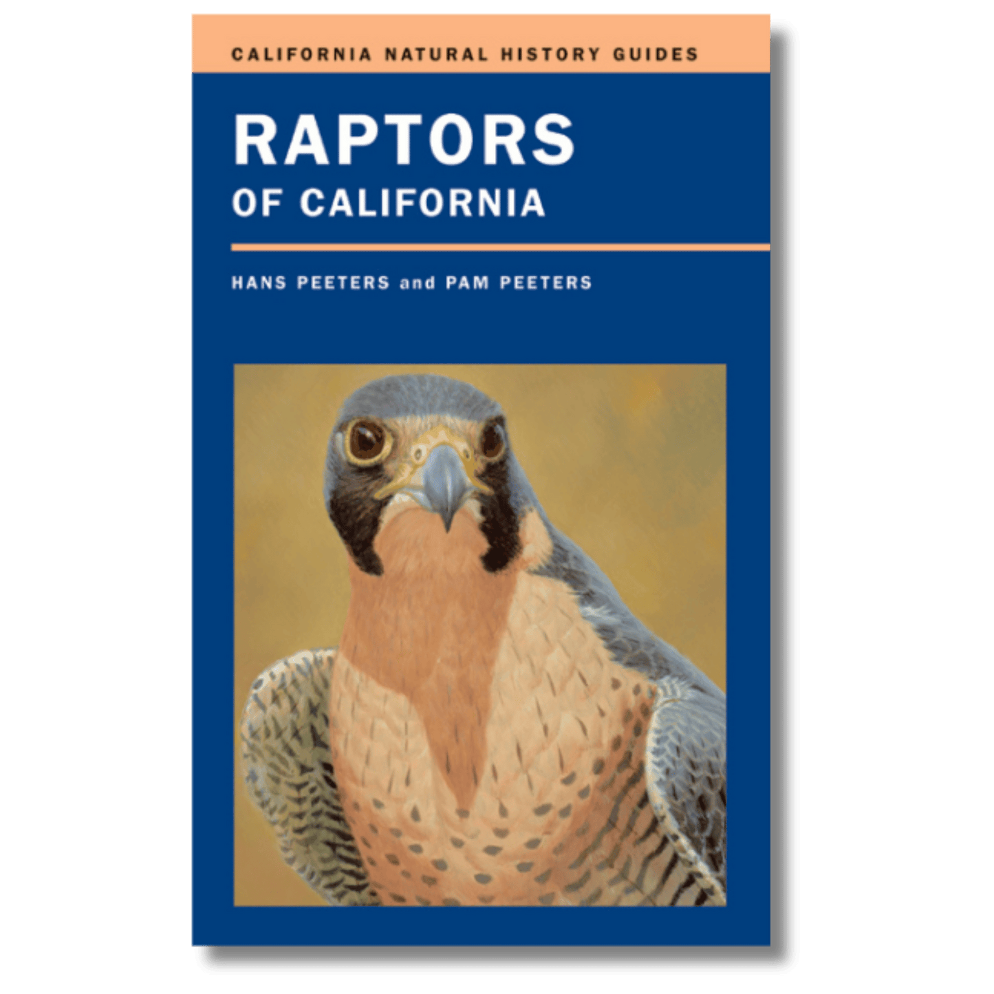Raptors of California