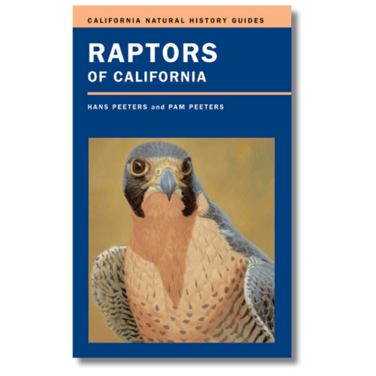 Raptors of California