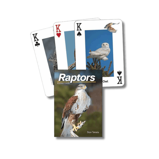 Deck Raptors Card Decks – The ForestWatch Store