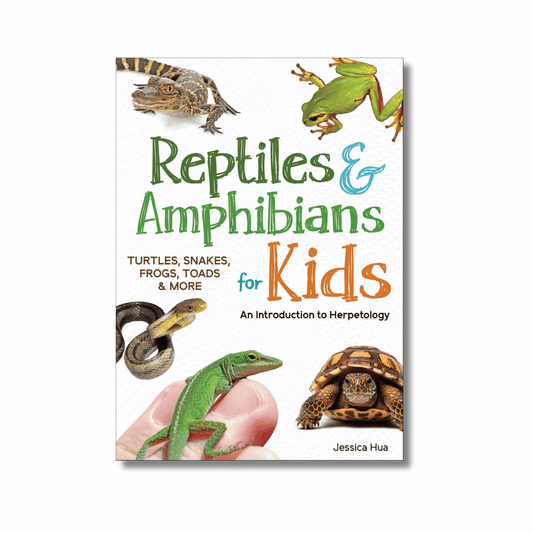 Reptiles & Amphibians for Kids: An Introduction to Herpetology