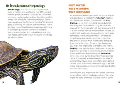 Reptiles & Amphibians for Kids: An Introduction to Herpetology