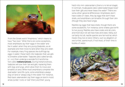 Reptiles & Amphibians for Kids: An Introduction to Herpetology