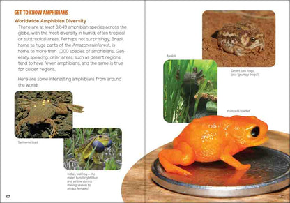 Reptiles & Amphibians for Kids: An Introduction to Herpetology