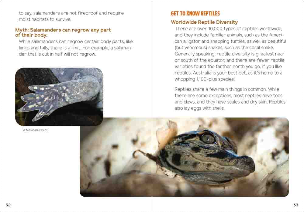 Reptiles & Amphibians for Kids: An Introduction to Herpetology