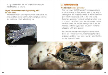 Reptiles & Amphibians for Kids: An Introduction to Herpetology