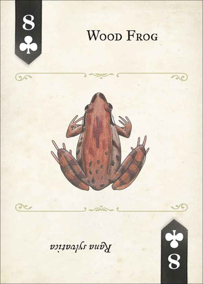 Reptiles & Amphibians Playing Cards