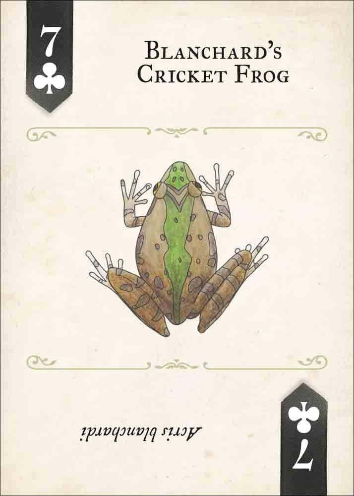 Reptiles & Amphibians Playing Cards