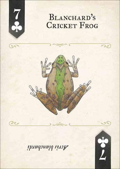 Reptiles & Amphibians Playing Cards