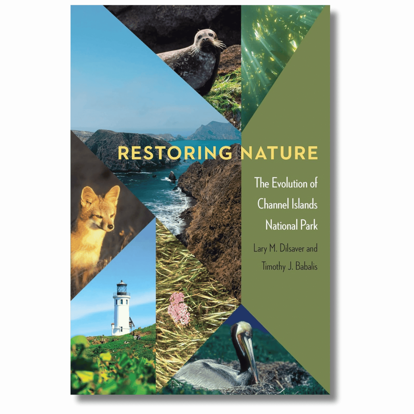 Restoring Nature: The Evolution of Channel Islands National Park