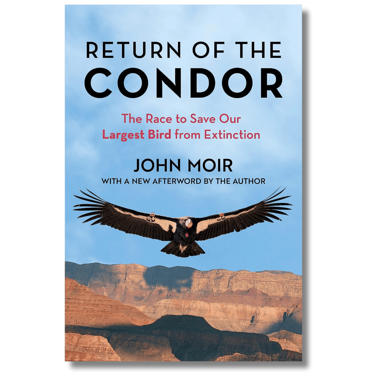 Return of the Condor: The Race to Save Our Largest Bird from Extinction