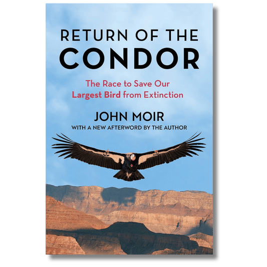 Return of the Condor: The Race to Save Our Largest Bird from Extinction