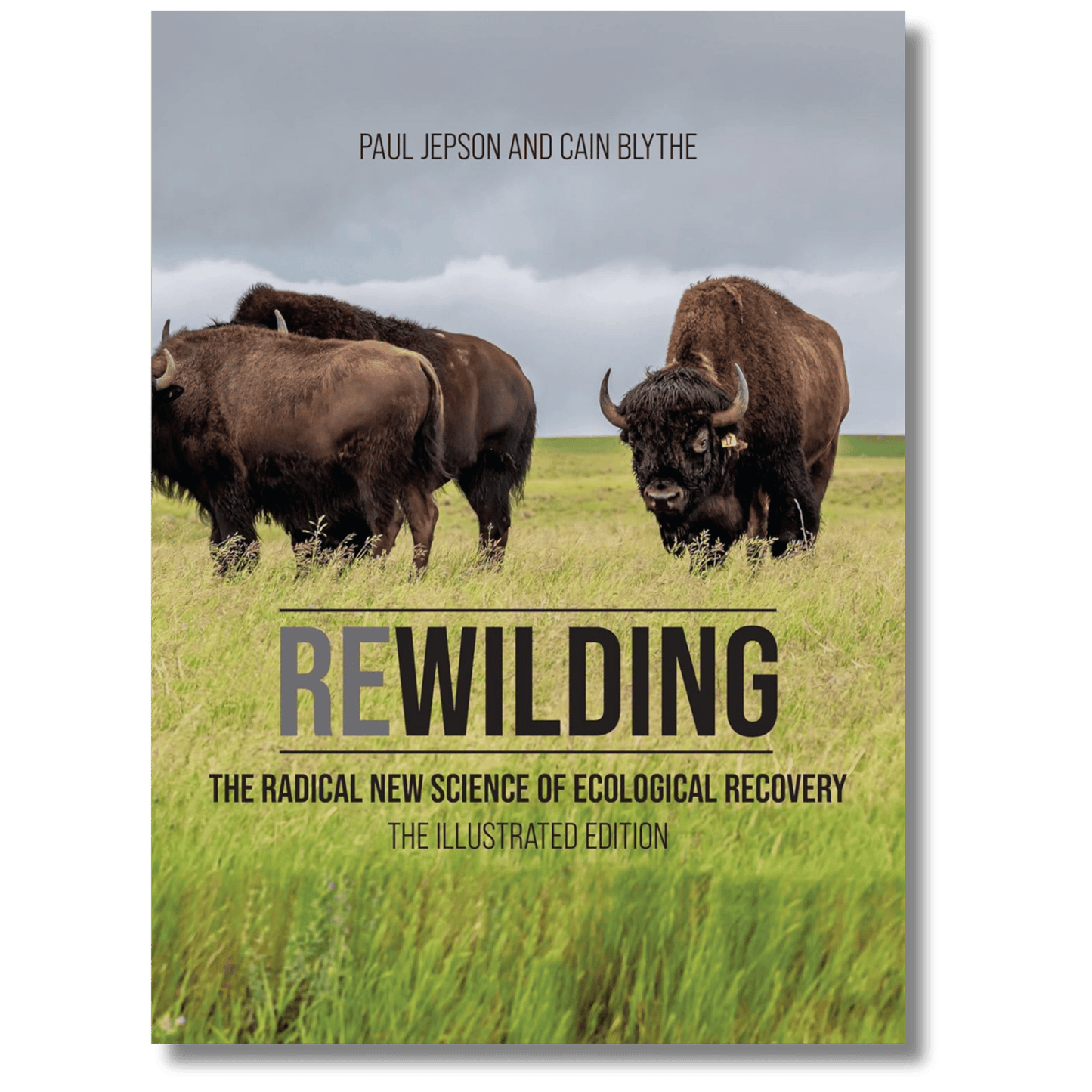 Rewilding: The Radical New Science of Ecological Recovery: The Illustrated Edition
