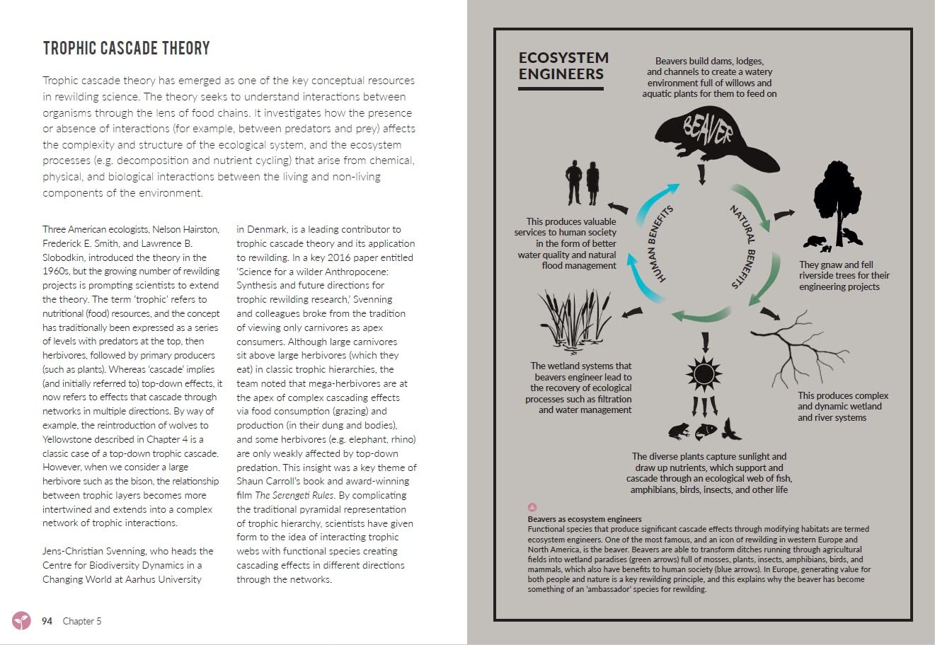 Rewilding: The Radical New Science of Ecological Recovery: The Illustrated Edition