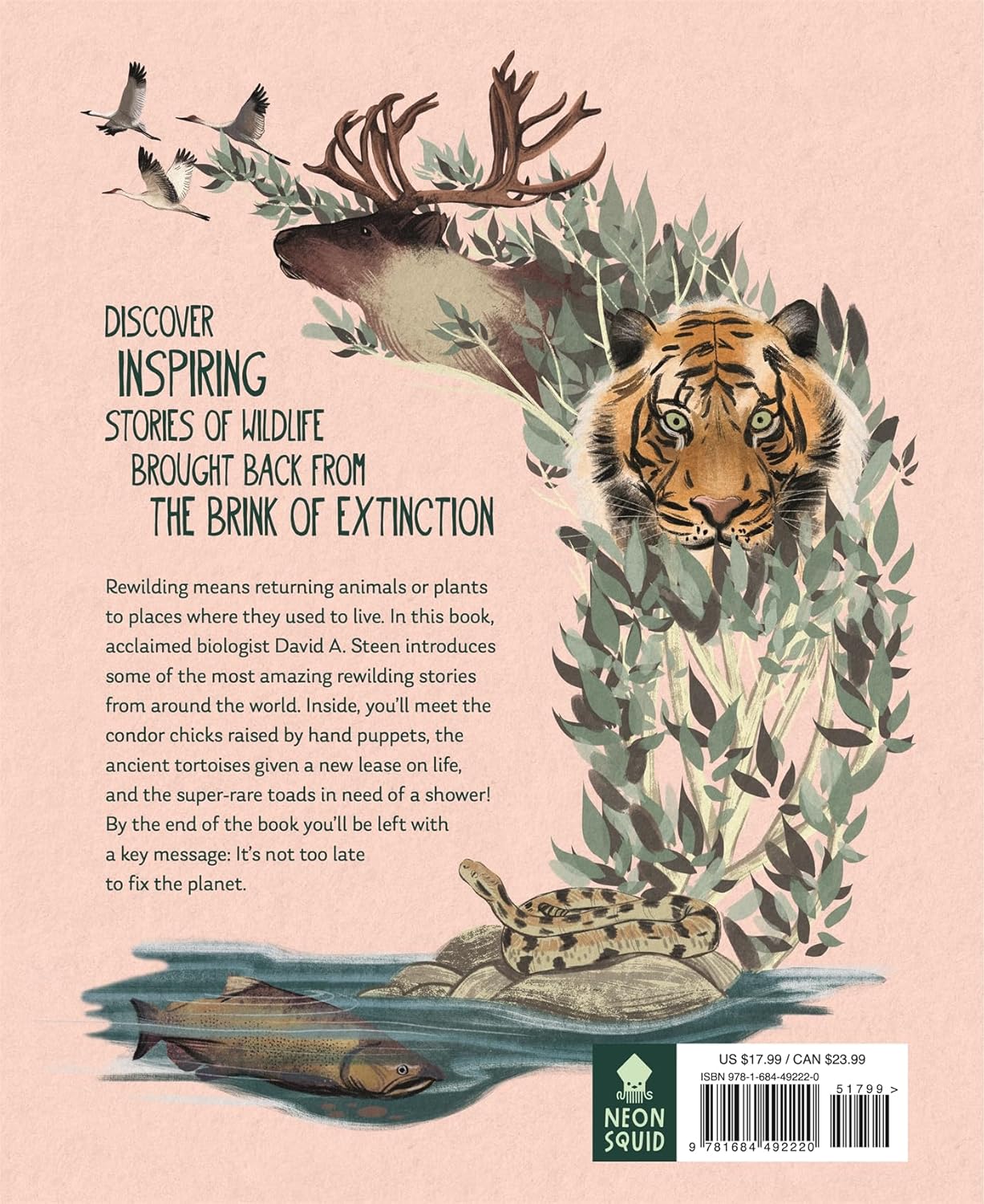 Rewilding: Bringing Wildlife Back Where It Belongs