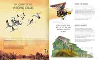 Rewilding: Bringing Wildlife Back Where It Belongs