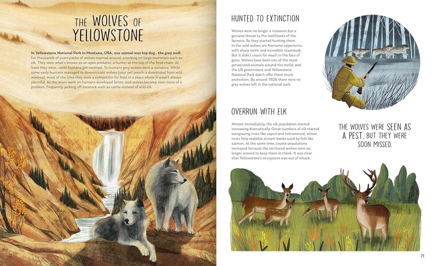 Rewilding: Bringing Wildlife Back Where It Belongs