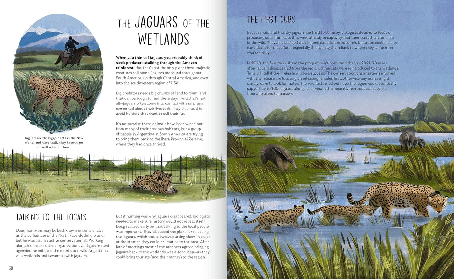 Rewilding: Bringing Wildlife Back Where It Belongs