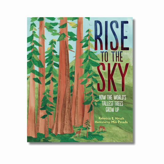 Rise to the Sky: How the World's Tallest Trees Grow Up