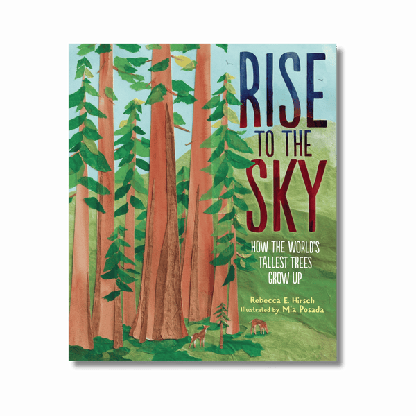 Rise to the Sky: How the World's Tallest Trees Grow Up