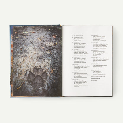 Roam: Wild Animals and the Race to Repair Our Fractured World