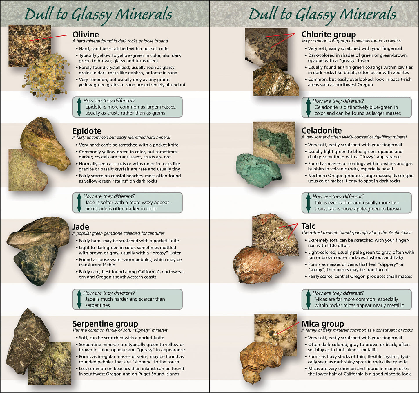 Rocks & Minerals of the Pacific Coast