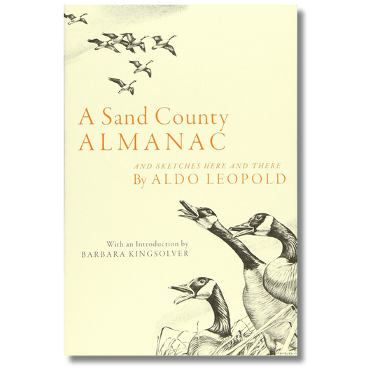 A Sand County Almanac and Sketches Here and There