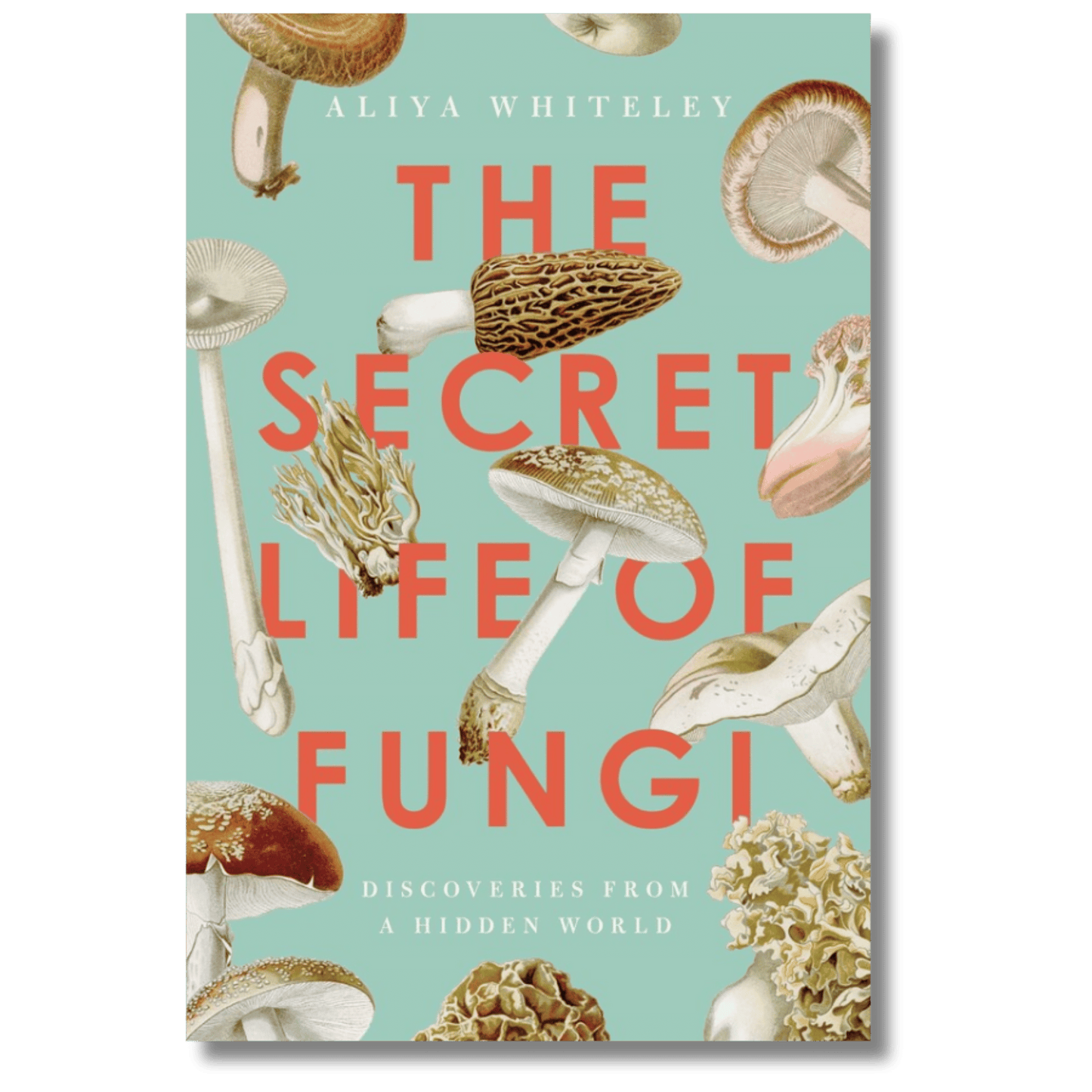 The Secret Life of Fungi: Discoveries From a Hidden World
