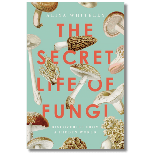The Secret Life of Fungi: Discoveries From a Hidden World