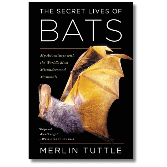 The Secret Lives Of Bats: My Adventures with the World's Most Misunderstood Mammals