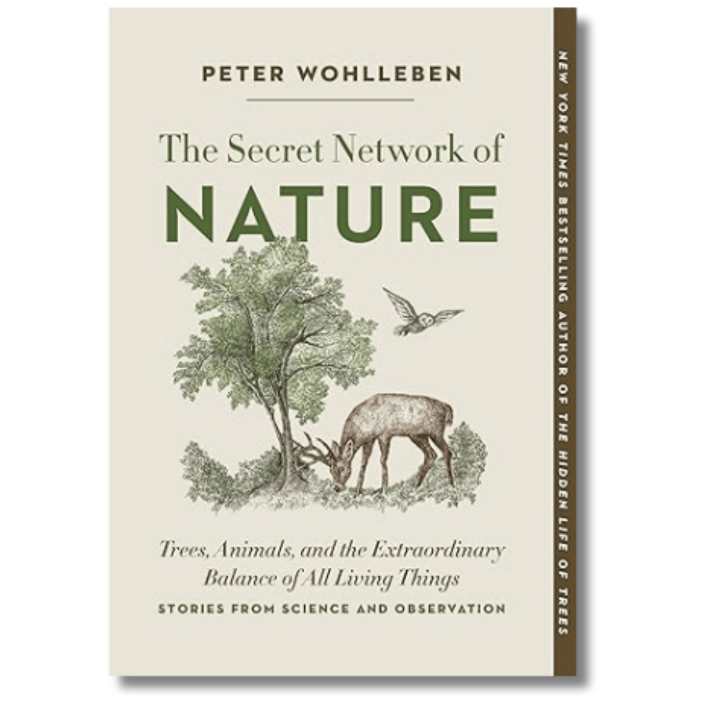 The Secret Network of Nature: The Delicate Balance of All Living Things